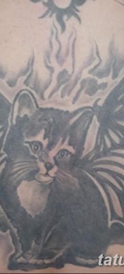 фото тату котенок от 22.12.2017 №060 — tattoo kitten — tatufoto.com