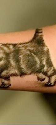 фото тату котенок от 22.12.2017 №062 — tattoo kitten — tatufoto.com