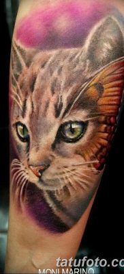 фото тату котенок от 22.12.2017 №067 — tattoo kitten — tatufoto.com