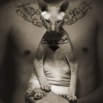 Кот с тюремными татуировками из Екатеринбурга - фото 11