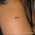 фото Маленькие тату для девушек от 26.01.2018 №178 - Little tattoos for girls - tatufoto.com 36324125