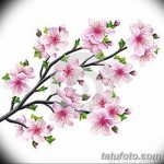 фото Эскизы тату Сакура от 27.01.2018 №013 - Sketches of Sakura tattoo - tatufoto.com