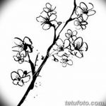 фото Эскизы тату Сакура от 27.01.2018 №021 - Sketches of Sakura tattoo - tatufoto.com