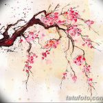 фото Эскизы тату Сакура от 27.01.2018 №022 - Sketches of Sakura tattoo - tatufoto.com