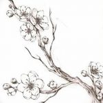 фото Эскизы тату Сакура от 27.01.2018 №029 - Sketches of Sakura tattoo - tatufoto.com