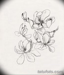 Черно-белый эскиз татуировки с изображением цветущей сакуры. Легкие, воздушные линии создают ощущение нежности и утонченности.