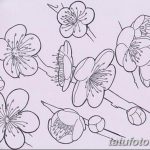 фото Эскизы тату Сакура от 27.01.2018 №033 - Sketches of Sakura tattoo - tatufoto.com