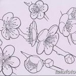 фото Эскизы тату Сакура от 27.01.2018 №034 - Sketches of Sakura tattoo - tatufoto.com