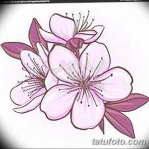 Фотография татуировки с изображением нескольких цветущих бутонов сакуры, выполненных в ярких розовых и пурпурных тонах, создающих эффектный и запоминающийся образ.