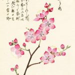 фото Эскизы тату Сакура от 27.01.2018 №060 - Sketches of Sakura tattoo - tatufoto.com