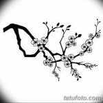 фото Эскизы тату Сакура от 27.01.2018 №063 - Sketches of Sakura tattoo - tatufoto.com