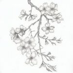 фото Эскизы тату Сакура от 27.01.2018 №064 - Sketches of Sakura tattoo - tatufoto.com