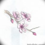 фото Эскизы тату Сакура от 27.01.2018 №069 - Sketches of Sakura tattoo - tatufoto.com
