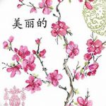 фото Эскизы тату Сакура от 27.01.2018 №071 - Sketches of Sakura tattoo - tatufoto.com