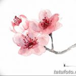 фото Эскизы тату Сакура от 27.01.2018 №102 - Sketches of Sakura tattoo - tatufoto.com