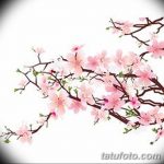 фото Эскизы тату Сакура от 27.01.2018 №126 - Sketches of Sakura tattoo - tatufoto.com
