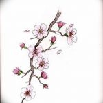 фото Эскизы тату Сакура от 27.01.2018 №129 - Sketches of Sakura tattoo - tatufoto.com