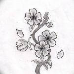 фото Эскизы тату Сакура от 27.01.2018 №132 - Sketches of Sakura tattoo - tatufoto.com