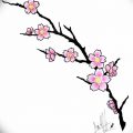 фото Эскизы тату Сакура от 27.01.2018 №137 - Sketches of Sakura tattoo - tatufoto.com