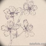 фото Эскизы тату Сакура от 27.01.2018 №142 - Sketches of Sakura tattoo - tatufoto.com
