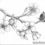 фото Эскизы тату Сакура от 27.01.2018 №143 - Sketches of Sakura tattoo - tatufoto.com
