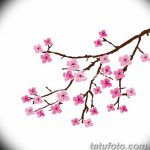 фото Эскизы тату Сакура от 27.01.2018 №159 - Sketches of Sakura tattoo - tatufoto.com
