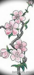 Эскиз татуировки, изображающий ветку цветущей сакуры с розовыми цветами и зелеными листьями. Рисунок выполнен в акварельной технике, с использованием нежных оттенков.