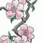 фото Эскизы тату Сакура от 27.01.2018 №161 - Sketches of Sakura tattoo - tatufoto.com