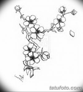 Черно-белый эскиз татуировки, изображающий ветку цветущей сакуры с минималистичным дизайном. Рисунок выполнен тонкими линиями, подчеркивающими форму цветов и листьев.