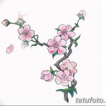 фото Эскизы тату Сакура от 27.01.2018 №164 - Sketches of Sakura tattoo - tatufoto.com