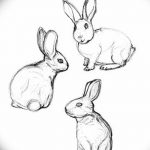фото Эскизы тату кролик от 09.01.2018 №004 - Sketches of a rabbit tattoo - tatufoto.com