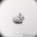 фото Эскизы тату кролик от 09.01.2018 №006 - Sketches of a rabbit tattoo - tatufoto.com