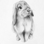 фото Эскизы тату кролик от 09.01.2018 №008 - Sketches of a rabbit tattoo - tatufoto.com