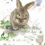 фото Эскизы тату кролик от 09.01.2018 №011 - Sketches of a rabbit tattoo - tatufoto.com