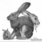 фото Эскизы тату кролик от 09.01.2018 №018 - Sketches of a rabbit tattoo - tatufoto.com