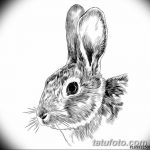 фото Эскизы тату кролик от 09.01.2018 №025 - Sketches of a rabbit tattoo - tatufoto.com