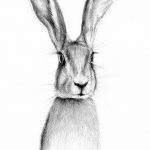 фото Эскизы тату кролик от 09.01.2018 №026 - Sketches of a rabbit tattoo - tatufoto.com
