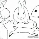 фото Эскизы тату кролик от 09.01.2018 №030 - Sketches of a rabbit tattoo - tatufoto.com