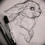 фото Эскизы тату кролик от 09.01.2018 №035 - Sketches of a rabbit tattoo - tatufoto.com