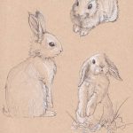 фото Эскизы тату кролик от 09.01.2018 №036 - Sketches of a rabbit tattoo - tatufoto.com
