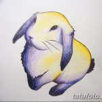 фото Эскизы тату кролик от 09.01.2018 №038 - Sketches of a rabbit tattoo - tatufoto.com