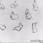 фото Эскизы тату кролик от 09.01.2018 №040 - Sketches of a rabbit tattoo - tatufoto.com