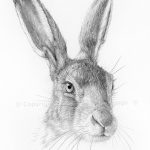 фото Эскизы тату кролик от 09.01.2018 №041 - Sketches of a rabbit tattoo - tatufoto.com