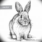 фото Эскизы тату кролик от 09.01.2018 №042 - Sketches of a rabbit tattoo - tatufoto.com