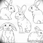 фото Эскизы тату кролик от 09.01.2018 №043 - Sketches of a rabbit tattoo - tatufoto.com