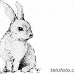 фото Эскизы тату кролик от 09.01.2018 №050 - Sketches of a rabbit tattoo - tatufoto.com