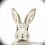 фото Эскизы тату кролик от 09.01.2018 №053 - Sketches of a rabbit tattoo - tatufoto.com