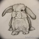 фото Эскизы тату кролик от 09.01.2018 №056 - Sketches of a rabbit tattoo - tatufoto.com