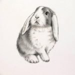 фото Эскизы тату кролик от 09.01.2018 №062 - Sketches of a rabbit tattoo - tatufoto.com