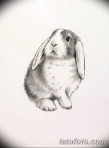 фото Эскизы тату кролик от 09.01.2018 №062 - Sketches of a rabbit tattoo - tatufoto.com